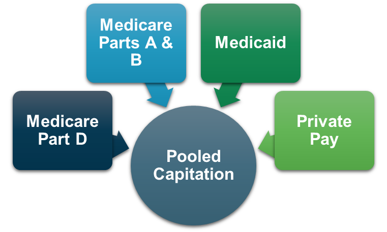 PACE pooled capitation consists of four main funding sources: Medicare Parts A & B, Medicare Part D, Medicaid, and Private Pay.